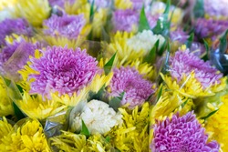 Various color Gerbera, Chrysanthemum of  flowers in bulk at Flower Market
