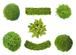 set of plants in top view isolated on white background for garden and landscape architecture