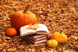 Autumn books. Reading books about autumn.Halloween books. Stack of books and orange pumpkins set on autumn foliage on nature background