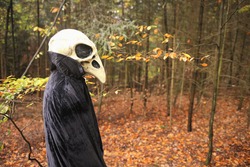 Halloween holiday . Skull crow costume. Scary bird in the autumn forest.Horror and fear. man in white bird skull mask and black cloak. Autumn holidays time. halloween mood