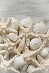 Marine wallpaper.Starfish and sea shells. Summer wallpaper in a marine style. Nautical beige starfish on white driftwood sticks.Background in a marine style in white and beige tones