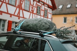 Christmas tree on the roof of a car in an old town in Germany. Christmas in Europe.Buying a live Christmas tree