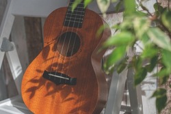 Ukulele stand at chair at home with plant. Home activity. Musical instrument.