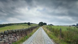 panoramic perspective view of a narrow cobblestone country lane surrounded by stone walls trees and fields with a cloudy atmospheric sky