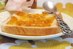 Cloudberry jam on wheat bread with spoon