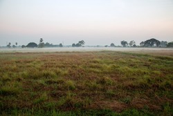 Morning dawn over a farm in a rice field of countryside. Valley farm at dawn in morning with the mist.
