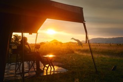 Woman rests after safari in luxury tent during sunset camping in the African savannah of Serengeti National Park, Tanzania.Woman Camping Tent Savanna Outdoors Concept
