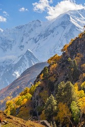 Beautiful autumn view of Nanga Parbat mountain, picture taken on the way to Nanga Parbat Base Camp, Pakistan