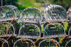 Lobster traps lined up on the shore near Baddeck, Nova Scotia Canada.
