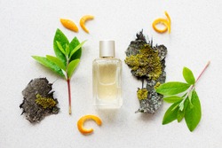 glass perfume bottle with green leaves, wooden bark and citrus peel.The concept of a fresh woody unisex fragrance, flat lay