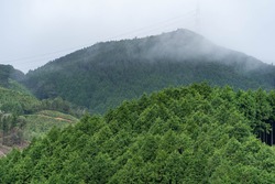 Fog pass through the mountains.