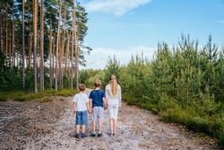 Summer activity for inquisitive children. Rear view of three children, two boys and girl, holding by hands in the forest. Friends together at summer vacation.