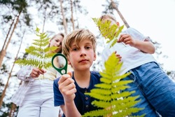 Bottom view of a cheerful funny boy with two friends holding fern branches and magnifying glass in a pine forest. Teaching child to love nature, summer camping concept.