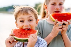 Happy children boy with his brother enjoy summer eating juicy watermelon having picnic at summer sunny day at nature. People vacation outdoor activities concept.