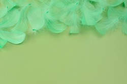 Bright green feathers and fuzz on a light green background. Beautiful abstract green modern background, green bird feathers