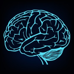 brain background