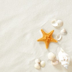 Beach with a lot of seashells and starfish