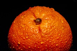 A Frame filling Macro image of a vibrant colored Orange covered in water drops beading on the peel.  This is a high contrast image with a visible but muted highlight on the front of the fruit.