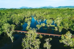 Aerial view of tourists, canoe or kayak in mangrove forests. Rayong Botanical Garden, tropical mangrove forest in a national park in Thailand. Holiday travel activities