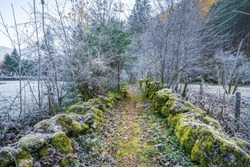 Path with Stones covered in Moss and Frost during Autumn Season - Hallstatt, Austria