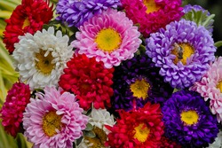 Matsumoto Aster (Callistephus chinensis). Colorful bouquet of colorful flowers

