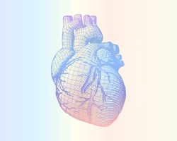 Human heart vector wireframe engraving drawing in retro style isolated on multi color ramp background