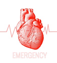 Engraving red human heart illustration on white background with heart rate pulse graph and emergency