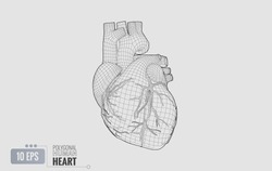 Monochrome polygonal black wireframe line of human heart illustration isolated on white background