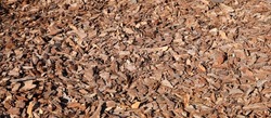Full frame closeup of brown mulch used for gardening and landscape decoration. Texture of Birch mulch bark for garden. Closeup of wood chip path covering. Wooden chips texture biomass background
