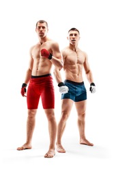 Two MMA fighters. Muscular athletes. MMA fighters isolated on white background. Sport