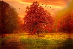 Large tree in autumn with many birds hovering over. Place tree in autumn.