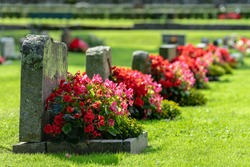 Sun shining on a row of gravestones with red and pink flowers on a beautiful and well cared cemetery