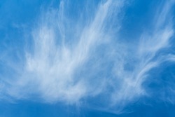 Beautiful blue sky with a soft white and feather-like cirrus cloud floating in the air