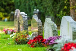 Beautiful summer view of a row of gravestones decorated with colorful flowers at a well-cared cemetery in Sweden