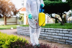 Exterminator in work wear outdoors spraying plants with a natural insecticide.