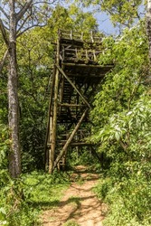 Crumbling observation tower in Kakamega Forest Reserve, Kenya
