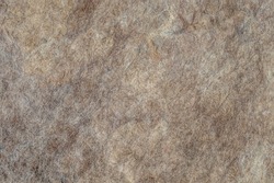 Gray lambswool carpet as a background. Material for covering an Asian yurt dwelling.