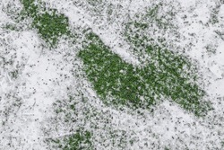 artificial grass turf under cleared snow in winter
