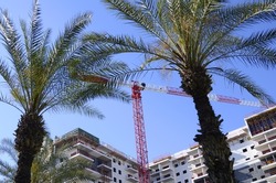Modern building. Construction work site. The site with cranes and big palm tree.