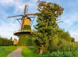 Summer scenery with traditional dutch windmill De Arend from 1742 in the village of Terheijden, North Brabant, next to the old pear tree