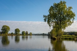 Autumn landscape of Meuse river around village of Demen with distant bridge and old black poplar trees