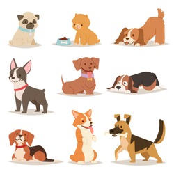 Cute funny cartoon dogs vector puppy pet characters different breads doggy illustration. Furry human friends home animals