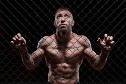 Dramatic image of a mixed martial arts fighter standing in an octagon cage. Powerful abdominal muscles. The concept of sports, boxing, martial arts.