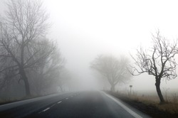 Autumn road and fog and the silhouette of trees