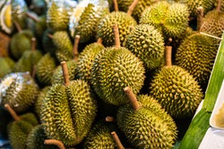 Durian fruit is placed in a basket for sale to the buyer in fruit market,Thailand.Durian that is known as the king of fruits of Thailand.