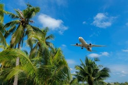 airplane flying over tropical palm trees. clear blue sky vacation time.