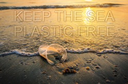Plastic glass lies on the beach in sunset and pollutes the sea and marine life. Garbage rubbish trash problem environmental pollution. Keep the sea, plastic free. Concept of pollution control.