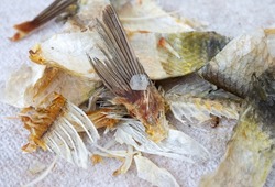 Food scraps leftovers. Dry salt fish squama, bones. The problem of lack of food, famine.