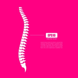 Spinal column vector icon illustration isolated on pink background
