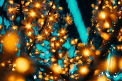 Garland on tree. Colorful light bulbs in the form of flowers. Bright festive lighting of the city. Illumination at night. Winter holiday. Concept of Christmas and New year.